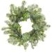 HTYSUPPLY 20 Iced Echeveria/Plastic Pine Cone/Pine Wreath Green Ice (Pack of 2)