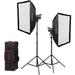 Godox Litemons LA200Bi Bi-Color LED 2-Light Kit with Stands and Softboxes LA200BI KIT