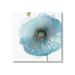 Stupell Industries Modern Floral Poppy Shape Canvas Wall Art By Carol Robinson Canvas in Black/Blue/Green | 30 H x 30 W x 1.5 D in | Wayfair