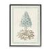 Stupell Industries Vintage Plant Nature Study Giclee Art By Vision Studio Canvas in Blue | 14 H x 11 W x 1.5 D in | Wayfair ar-118_fr_11x14