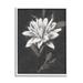 Stupell Industries Traditional White Dahlia Flower Framed Giclee Art By Nina Blue Canvas in Black/White | 30 H x 24 W x 1.5 D in | Wayfair