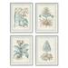 Stupell Industries Botanical Herb Latin Studies 4 Pc Giclee Art Set By Vision Studio Canvas in Green | 20 H x 16 W x 1.5 D in | Wayfair