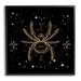 The Holiday Aisle® Starry Halloween Spider Insect by Lil' Rue - Graphic Art on Canvas in Black | 12 H x 12 W x 1.5 D in | Wayfair