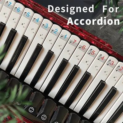 Autocollants de clavier d'accordéon Bayan notation itude numérotée et personnel introduction du