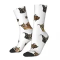 Chaussettes Big Floppa Cat Meme pour hommes et femmes chaussettes drôles et heureuses nouveauté