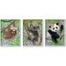 Loon Peak® Tropical Hibiscus Flower Jungle Animals Koala Panda Sloth - 3 Piece Picture Frame Graphic Art Set on MDF in Black/Gray/Green | Wayfair