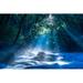 Millwood Pines A Forest, Kumamoto, Japan - Wrapped Canvas Photograph Canvas in Green | 8 H x 12 W x 1.25 D in | Wayfair