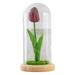 Sunflower Gifts for Mom Grandma Artificial Tulips in Glass Dome for Women on Birthday Anniversary Thanksgiving Christmas Valentine s Day Mother s Day Wine red