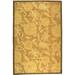 SAFAVIEH Chelsea Amaia Floral Wool Area Rug Light Brown 6 x 9