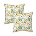 Velvet Decorative Throw Pillow Covers Set of 2 Soft Square Cushion Cover with Invisible Zipper Flower Decorative Printing 16 x16