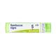 BOIRON® Sambucus Nigra 5 Ch Granuli Contenitore Multidose 4 g