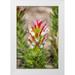 Lord Fred 23x32 White Modern Wood Framed Museum Art Print Titled - Africa South Africa Cape Town Protea flower