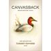 Canvasback Red Mountain Cabernet Sauvignon (1.5 Liter Magnum) 2018 Red Wine - Washington