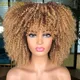 Perruque Synthétique Courte Afro Crépue Bouclée pour Femmes Noires Perruque Bob Naturelle avec