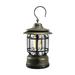 Tssuoun Lantern Outdoor Hanging Camping Dimming Adjustable Tent Light Portable Picnic Battery Operated Path Lighting Night Lamp Green