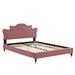 Neena Performance Velvet Bed by Modway Upholstered/Velvet in Pink | 52.5 H x 79 W x 89 D in | Wayfair MOD-6840-DUS