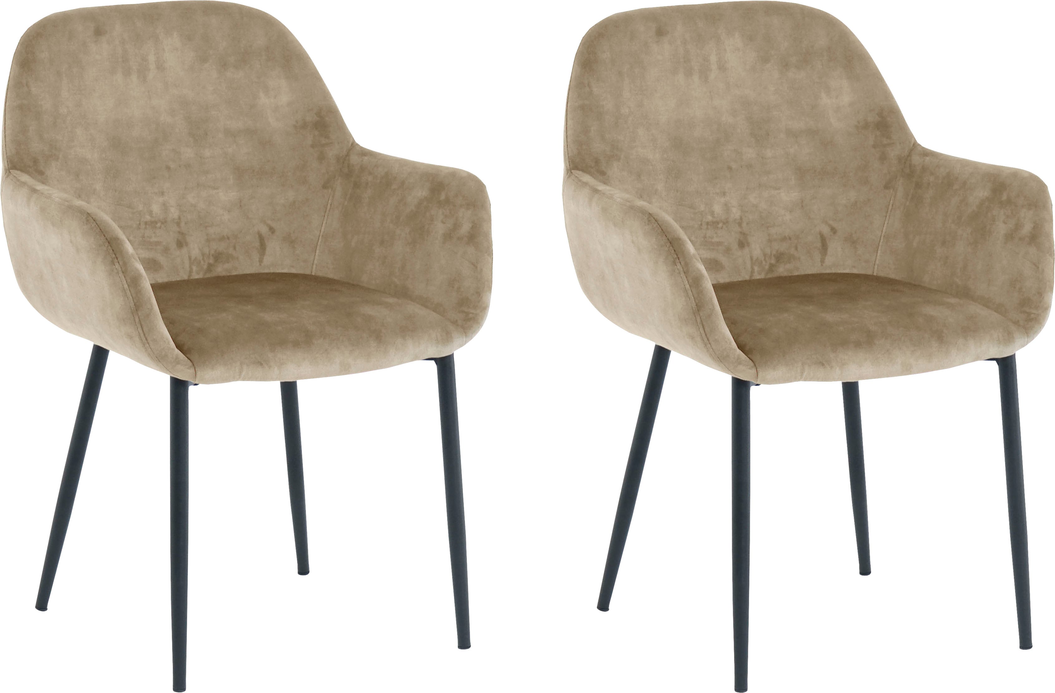 Armlehnstuhl SIT, beige (beige, schwarz, schwarz), B:60cm H:84cm T:57,5cm, Metall, Polyester, Stühle, Armlehnstuhl, glamouröser Bezug in Samtoptik