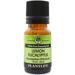 Plantlife Lemon Eucalyptus Essential Oil | 2.5 H x 0.9 W x 0.9 D in | Wayfair EEC10