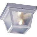 Volume Lighting 2 -Bulb Outdoor Flush Mount Glass/Metal in White | 5 H x 9.25 W x 9.25 D in | Wayfair V7232-6