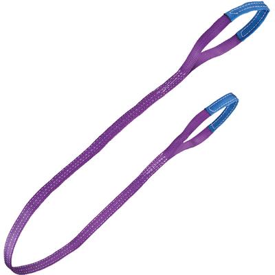 Feldtmann Hebeband Hebegurt Rundschlinge 1000 kg violett 2 Meter 84540-2 Image
