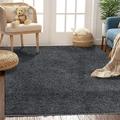 Litake Non-Slip Area Rug Soft Luxury Plush Carpet for Living Room Fluffy Throw Rugs Modern Indoor Shaggy Area Rug Comfy Carpet Rugs for Kids Nursery (Dark Grey 5 Ã—8 )