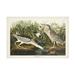 John James Audubon Night Heron Canvas Art