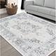 HR Area Rug Runner Traditional Rug Fossil Vintage Floor Mat Thin and Soft Rug Floral Print Carpet Foldable Accent Rug Dining Room Living Room Faded Rug Bohemian 2x 7 Gray Bone Silver