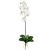 Nearly Natural Phalaenopsis Stem (Set of 12)