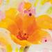 Winston Porter Bright Tulips I by Albena Hristova - Wrapped Canvas Print Canvas | 30 H x 30 W x 1.25 D in | Wayfair