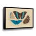 August Grove® Vintage Butterflies 1 by Stellar Design Studio - Graphic Art on Canvas in Black/Blue | 14 H x 18 W x 2 D in | Wayfair