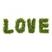 Nearly Natural Ã¢â‚¬Å“LOVE Boxwood Artificial Wall Decoration (Indoor/Outdoor)