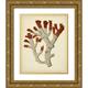 Vision Studio 26x32 Gold Ornate Wood Framed with Double Matting Museum Art Print Titled - Antique Red Coral VI