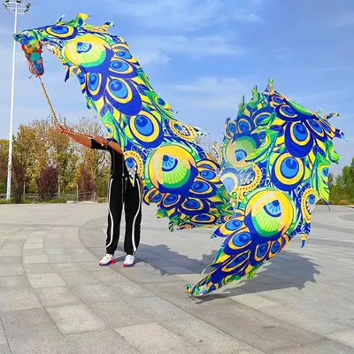 Ruban de danse du dragon à motif paon avec tête cadeau du Nouvel An chinois accessoires de