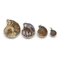 Pendentif en coquillage en forme d'escargot naturel quatre TANCharm pour bijoux exécutifs collier