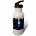 3dRose Print of Blue Electric Guitar With Chrome Skull Sports Water Bottle 21oz