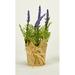 Primrue 8" Artificial Flowering Plant in Pot Plastic | 8 H x 3 W x 3 D in | Wayfair 602EB3D09F404FAABF0A02761ACE3036