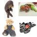 Assorted Ty Beanie Baby 4 Pack Bundle: Ty Beanie Babies - Jolly The Walrus Ty Beanie Baby Sammy The Bear Ty Attic Treasures Beanie Baby - Dickens The Bear TY Beanie Babies - Ziggy the Zebra 4th Gen