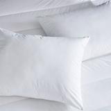 CLEAN DESIGN HOME Medium Support Pillow Polyester/Polyfill/100% Cotton | Standard 20" x 26" | Wayfair 088377026106