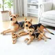 Grande peluche douce en forme d'animaux 30-90cm chien chiot couché Kawaii jouets en coton pour