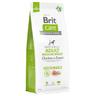 Brit Care Sustainable Adult Medium Breed Pollo & Insetti Crocchette cane - 12 kg