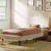 Ebern Designs Madax Twin Platform Bed Frame, Modern Bed w/ Headboard & Wood Slat Support, Beige Upholstered/Linen in Brown | Wayfair