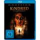 The Kindred-Tödliche Geheimnisse (Blu-ray)