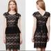 Anthropologie Dresses | Maeve Anthropologie Elsa Lace Black Floral Peplum Dress | Color: Black/Cream | Size: S