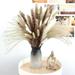 120 Pcs Natural Dried Pampas Grass Decor - 17-inch Fluffy Pampas Grass Bouquet for Boho Home Decor - Multicolor Bulk Dried Flowers for Vase Feathers for Floral Arrangement