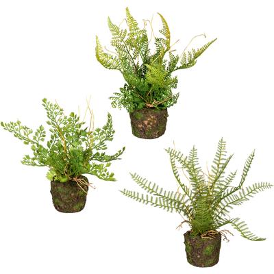 Künstliche Zimmerpflanze CREATIV GREEN "Set aus Farnpflanzen auf Wurzelballen", grün, H:22cm, Kunststoff, Kunstpflanzen, 3er Set Image