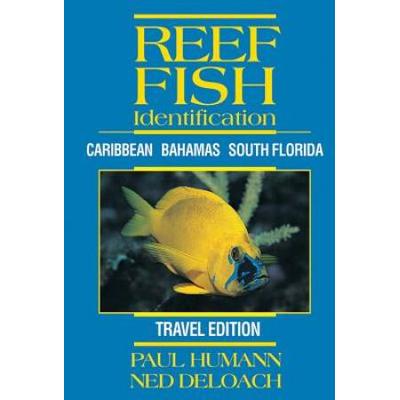 Reef Fish Identification Caribbean Bahamas South Florida