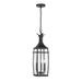 Savoy House Montpelier 25 Inch Tall 3 Light Outdoor Hanging Lantern - 5-763-BK