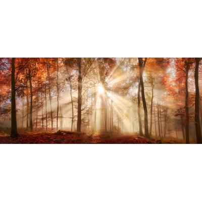 Leinwandbild BÖNNINGHOFF "Herbst", bunt (farbe rahmen: kein rahmen, farbe bild(er): orange, braun,, gelb), B:140cm H:60cm T:1,8cm, Canvas, Bilder, BxH: 140x60 cm Image