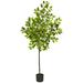 Nearly Natural 61 Lemon Artificial Tree