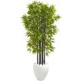 Nearly Natural 5 Bamboo Artificial Tree with Black Trunks in White Planter UV Resistant (Indoor/Outdoo